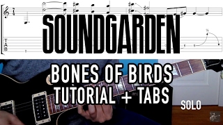 Bones of Birds - Soundgarden (Guitar Tutorial + Tab)