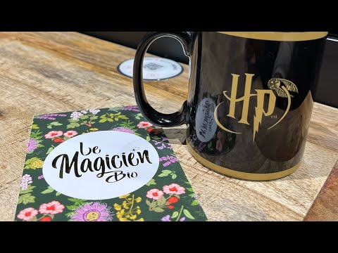 Um mundo mágico de Harry Potter (uma loja de compras na França)