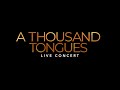 A Thousand Tongues Live Concert - Luigi Maclean