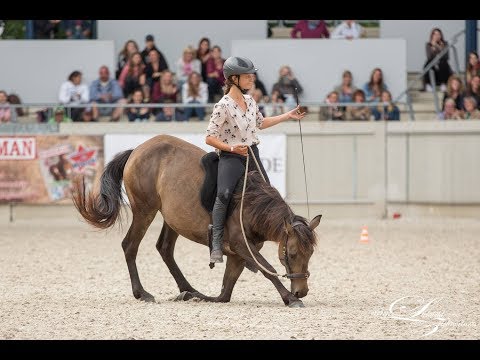 Mustang Makeover 2017 -  Tanja&Naira - 2. Trainer Challenge