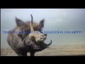 Animals Inc Parody Part 25 End Credits