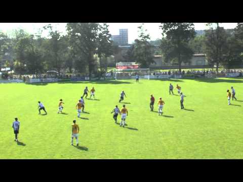 Samenvatting Zwaluwen - ASWH