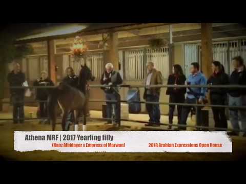 Athena MRF | Inquiries Invited