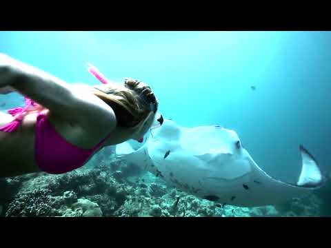 Sexy Girl Freediving Manta Rays