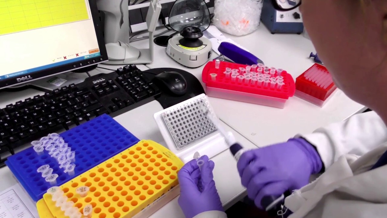 Sanger Sequencing with Source BioScience