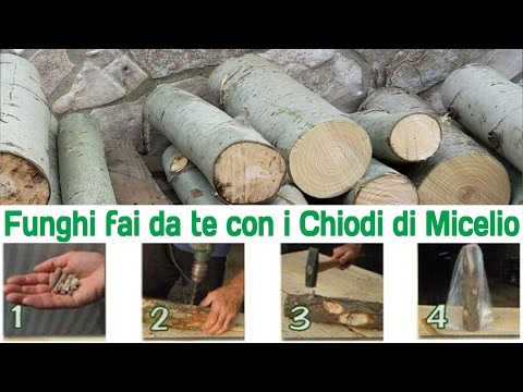 Le provviste mediche da pigmentary notano su una faccia Il gel da pigmentary individua lo studio