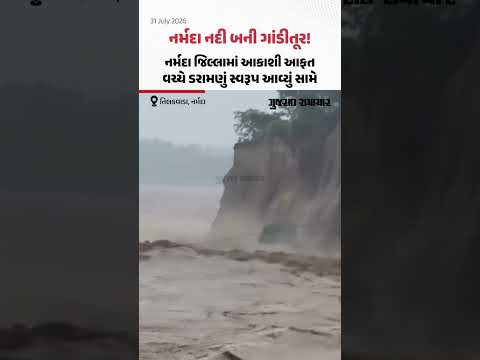 Narmada જિલ્લામાં આકાશી આફત, તિલકવાડામાં નર્મદા નદીનું રૌદ્ર સ્વરૂપ, વીડિયો વાઇરલ Narmada જિલ્લામાં આકાશી આફત, તિલકવાડામાં નર્મદા નદીનું રૌદ્ર સ્વરૂપ, વીડિયો વાઇરલ