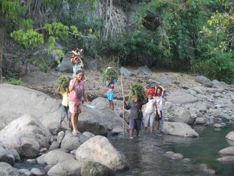 The road to Wae Rebo - Flores
