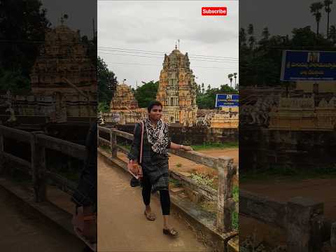 Feel the nature 🥰 🌉#travel #explore #trending #nature #shorts