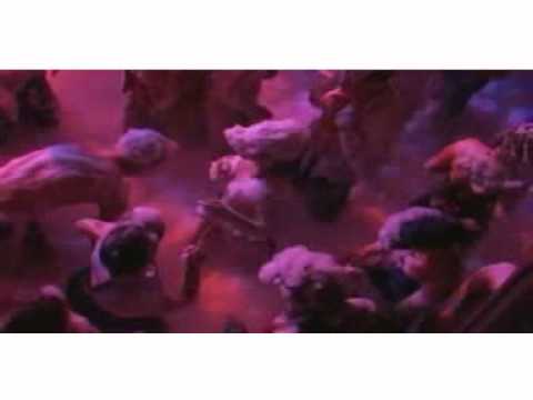 DJ Tony Ray feat  Amy   A new life popcorn re edit