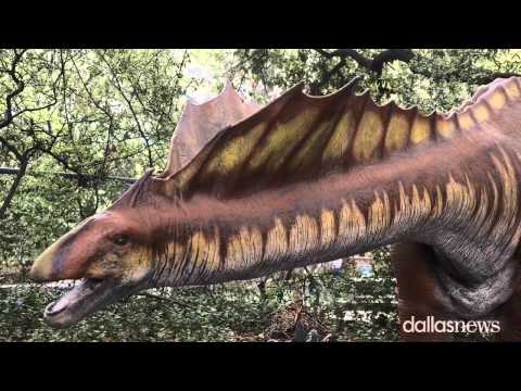 Dinosaurs at the Dallas Zoo