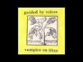 Guided By Voices - Donkey School