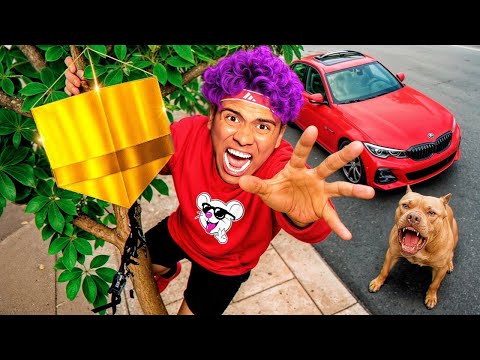 RESGATEI PIPAS LENDARIAS PELA MINHA CIDADE! *pipa dos rosa