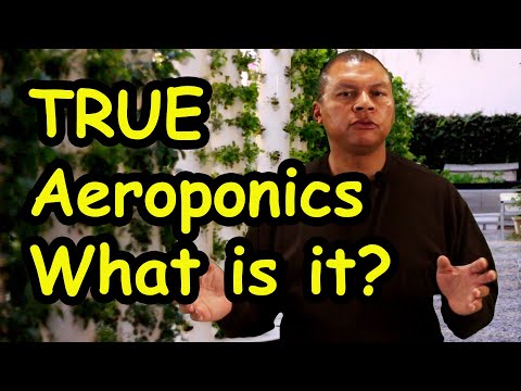 What is true aeroponics?