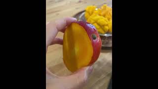 🥭マンゴーの美しい切り方🥭