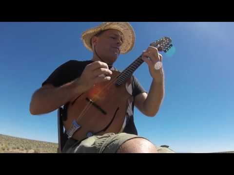Here Comes The Sun on Mandolin | Tim Connell