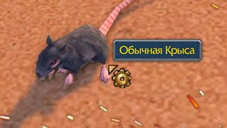 Головоломка, которую пытались разгадать 8 лет