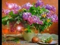 сирень и красивая песня "Одинокая ветка сирени" 