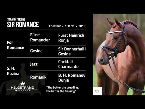 Straight Horse Sir Romance by For Romance/Jazz - open house 2018