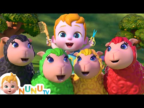 Baa Baa Colour Sheep + More Nursery Rhymes & Kids Songs | NuNu Tv