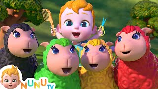 Baa Baa Colour Sheep 🎨 More Nursery Rhymes &amp; Kids Songs  | Learn Colours, Numbers | NuNu Tv
