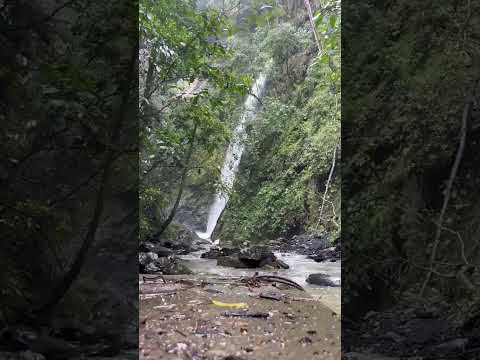 Cascada el Tambo, Tena