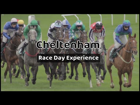 Cheltenham Races | Our race day experience | Cheltenham Festival.