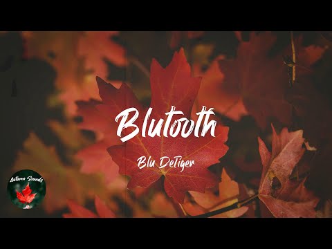 Blu DeTiger - Blutooth (Lyric video)