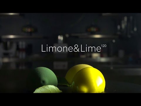 Силіконова форма LIMONE&LIME 30 Silikomart 55x38 h27mm, фото №1, інтернет-магазин харчового обладнання Систем4