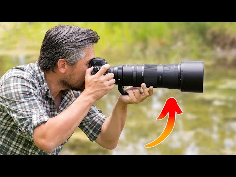 Nikon Z 180-600mm f/5.6-6.3 VR Initial Review: Nikon's BEST Wildlife Lens?!