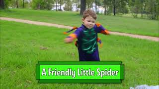 A Friendly Little Spider