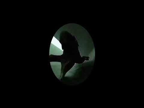 Video thumbnail for Бетховен (Beethoven)
