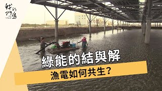 Re: [新聞] 七股光電爭議 南市府：釐清生態敏感區建