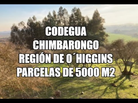 Codegua Chimbarongo, Región de O`Higgins Parcelas de 5000 m2