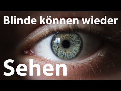 Können Blinde wieder sehen – dank Umprogrammierung der epigenetischen Uhr?