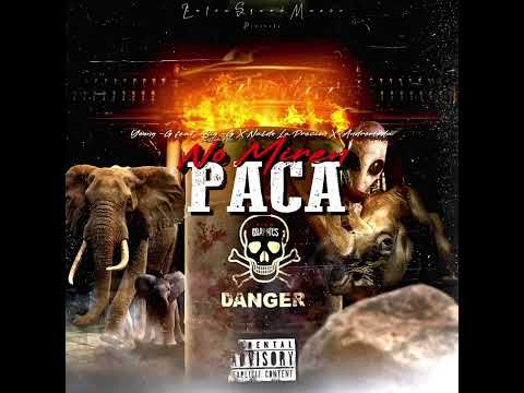 No Miren Paca👀 Young G ❌ Andromeda ❌Big G The Elephant Boy ❌Naldo El Dela Presión