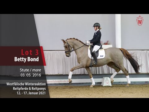 Winterauktion Reitpferde & Reitponys  Lot 3 Betty Bond Stute v. Bernay - Rotspon
