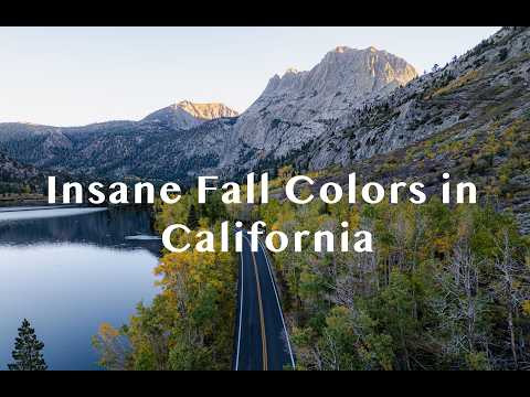 Best Places to See Fall Colors in CA (Mammoth Lakes & Sierra Nevada)