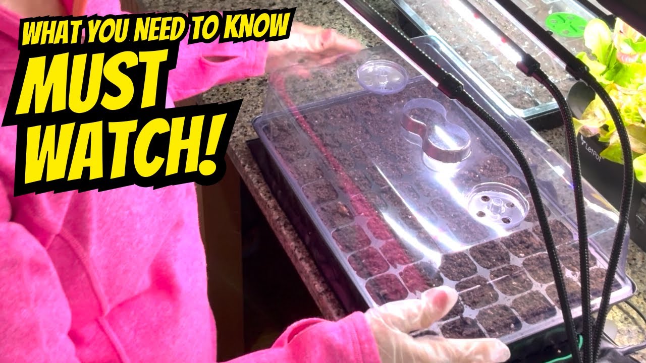 How to use Seed Starter Kit EASILY