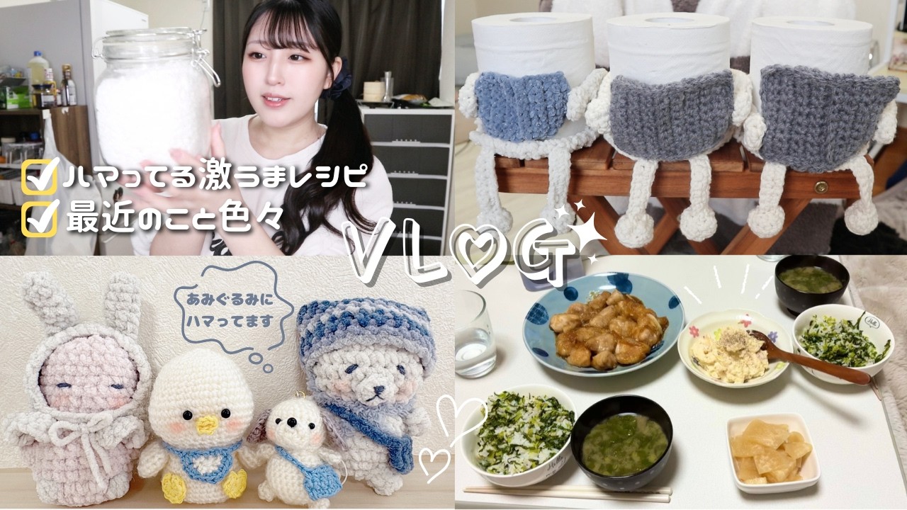 【日常vlog】ワッフルシュガー1キロ買いました🧇最近ハマってるレシピ🍖とドラマ📺と編みぐるみ🧶