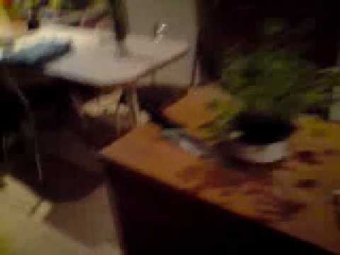 Duch poprzedniego właściciela domu