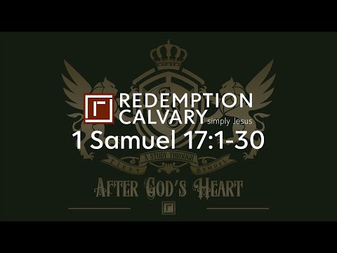 1 Samuel 17:1-30