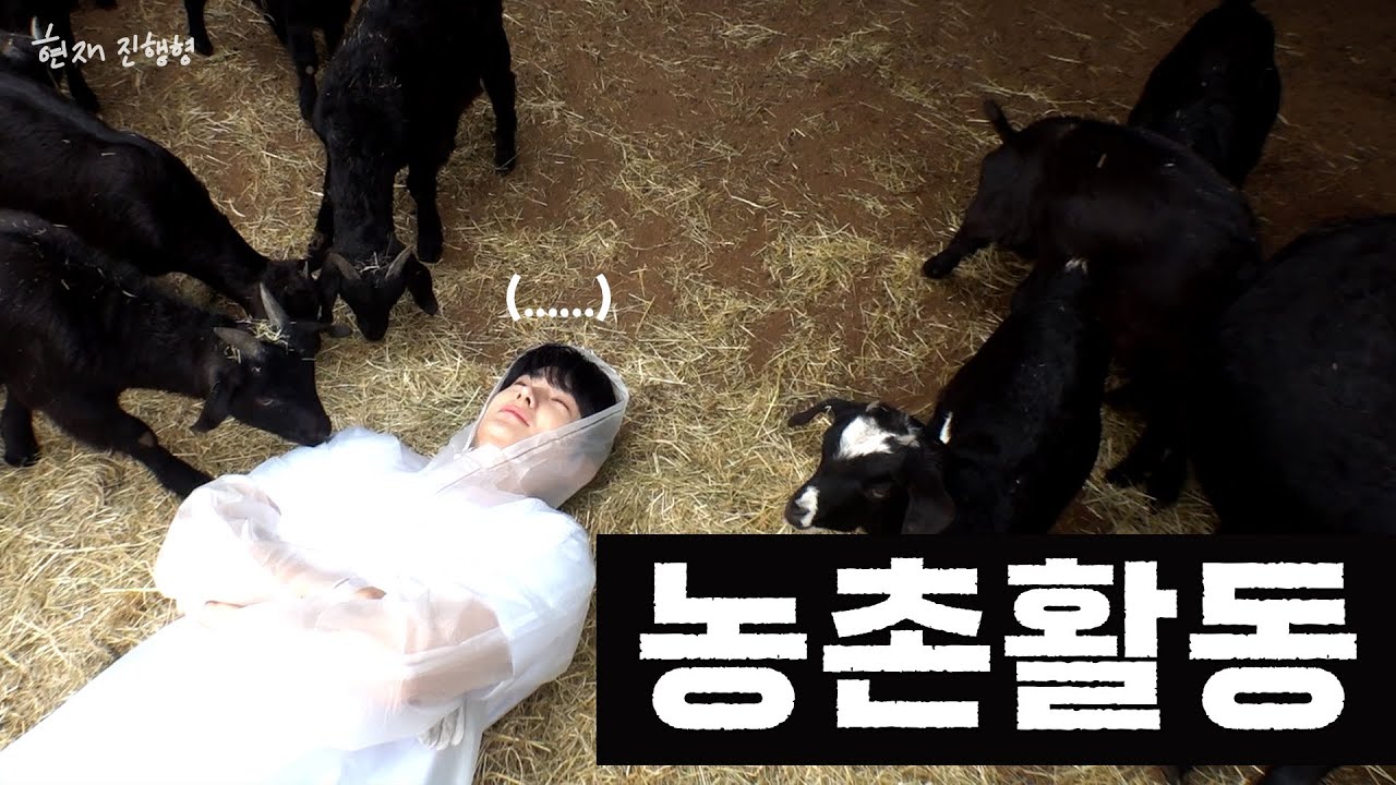 LEE JAEHYUN's challenging farm volunteering experience💦 l HYUNJAE.ing EP.05