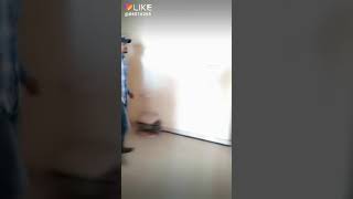 5 ft 7 inch (Official Video) Maud ft Neha Malik | New Punjabi Songs 2018 | Latest Punjabi Song 2018