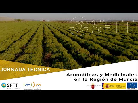 Fotograma del vídeo: Situación y perspectivas del cultivo de Plantas Aromáticas y Medicinales en la Región de Murcia