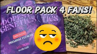Trying Cherry Dosido THCa Flower from The Dopest!  The best $50 zip  Cannabis and Coffee