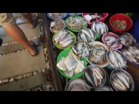 Umbrella Railway Market & Amphawa Floating Market