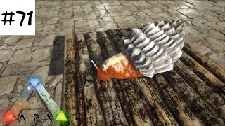 Ark ペイントデータの作り方 39 Ark Survival Evolved برنامج تنزيل Mp3 الأكثر شعبية على الإنترنت Ark ペイントデータの作り方 39 Ark Survival Evolved برنامج تنزيل Mp3 الأكثر شعبية على الإنترنت