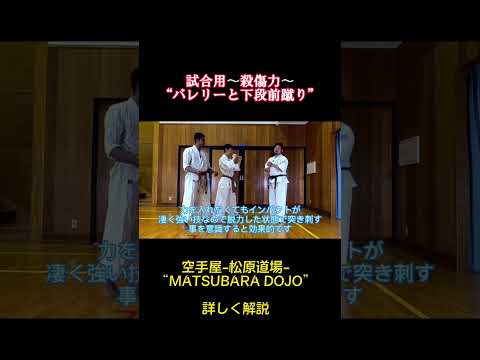 しっかり効かす『バレリー＆下段前蹴り』#shorts