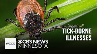 Ticks may be worse after the mild winter. What to know about tick-borne diseases | Talking Points